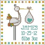 (image for) Stork Baby Announcement Boy